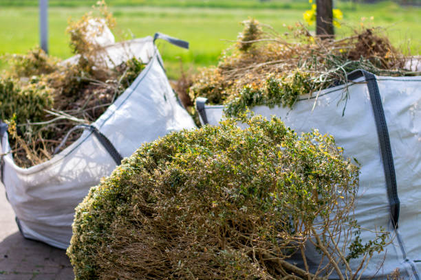 Best Attic Cleanout Services  in Greer, SC